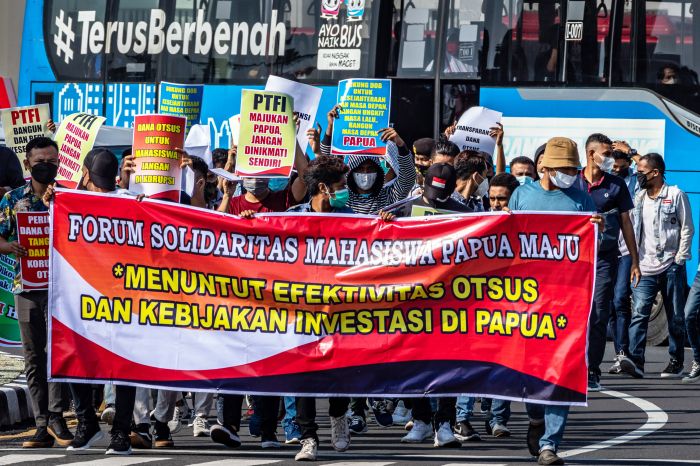 Capaian dalam Aturan Pelaksana UU Otsus Papua Harus Jelas 