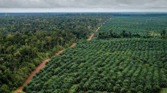 Pemerintah diminta perkuat pengawasan perizinan berusaha di daerah