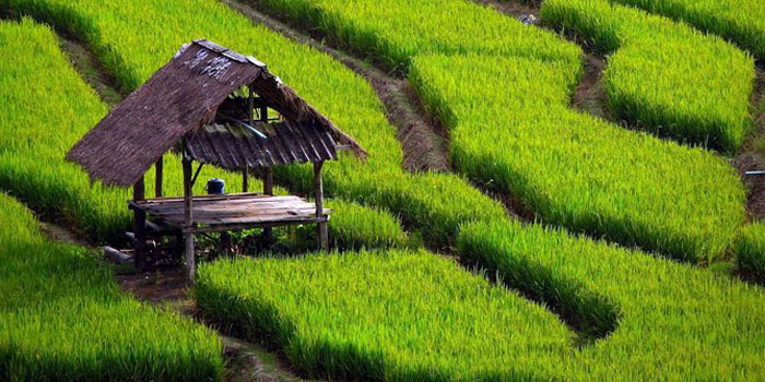 Dana Mengendap di Kas Daerah